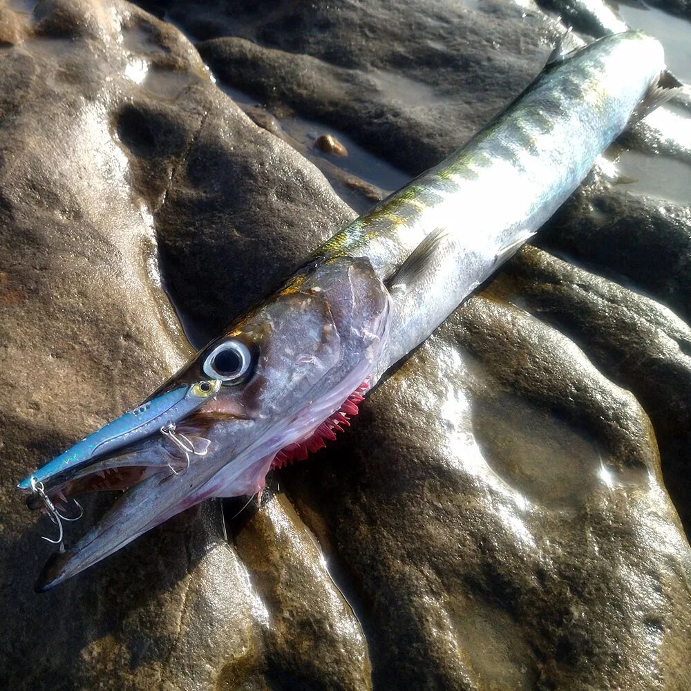 GOBAIT-señuelo de pesca VIB, 2 - Fishing Lure Blade Bait reseña y precio